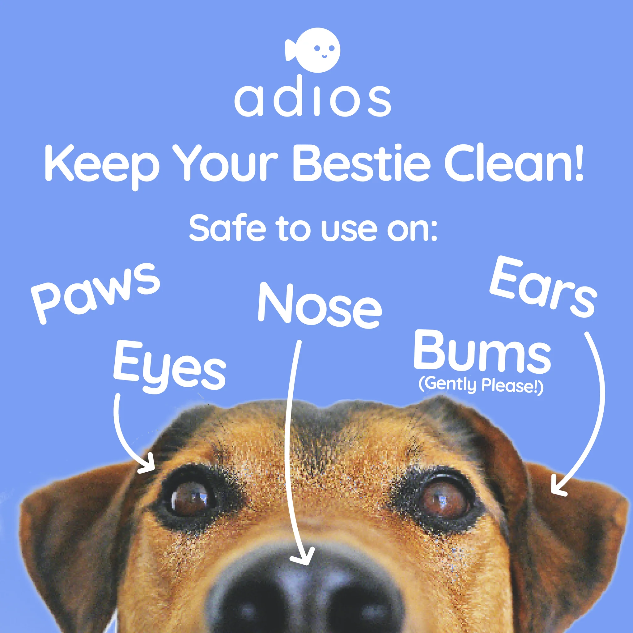 Adios Plastic | Compostable Pet Wipes - Image 5