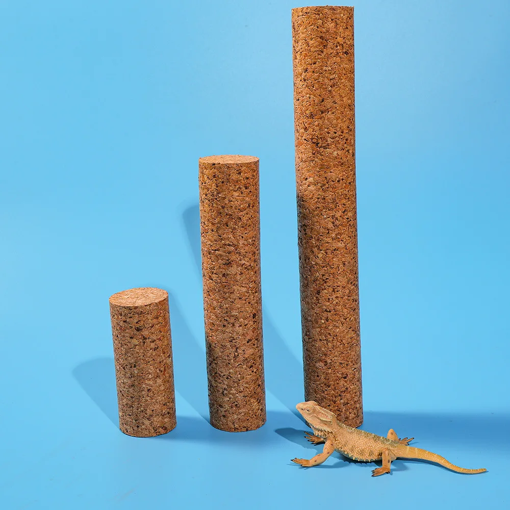 Cork Crawl | A Natural Climb for Curious Reptiles - Image 4