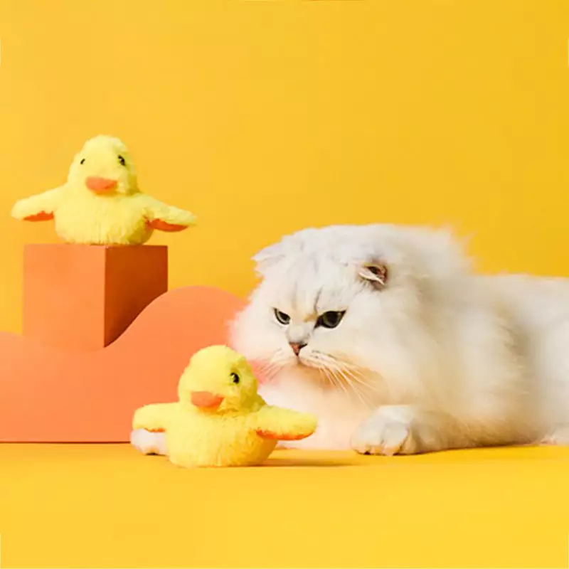Duck ‘n’ Dash - Image 8