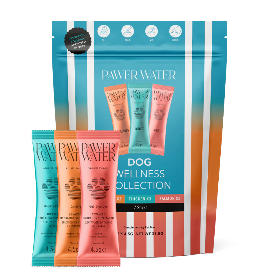 Pawer Water | The Explorer Kit - Image 3