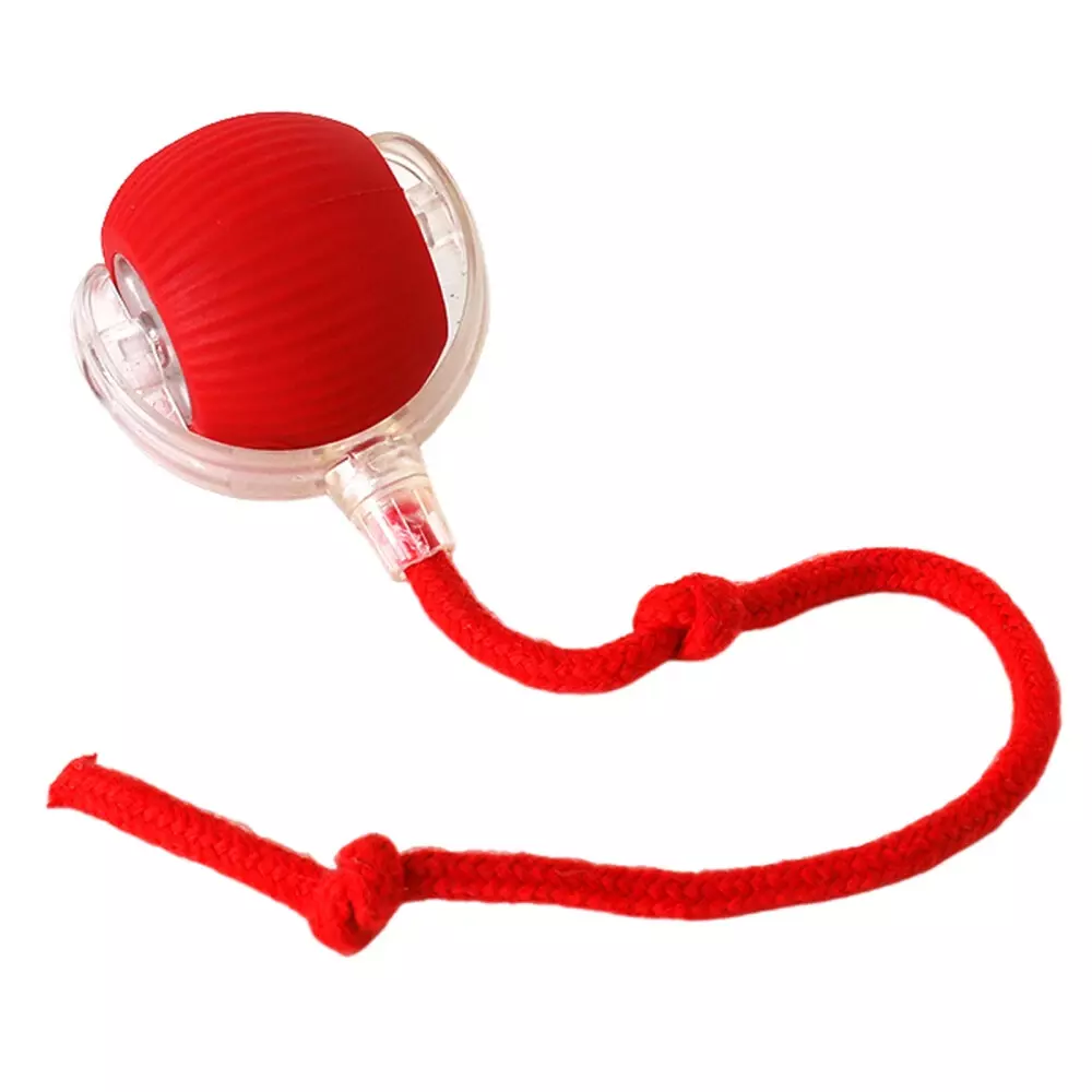 Smart Cat Motion Ball - Image 8