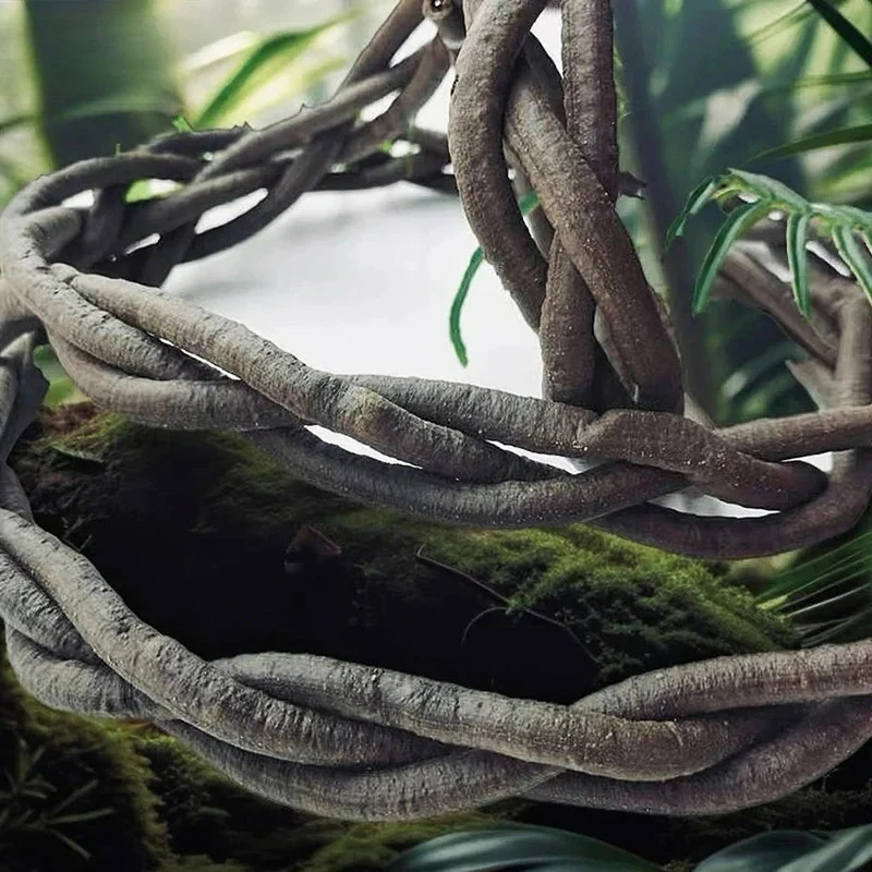 The Jungle Loop | 100CM - Image 3