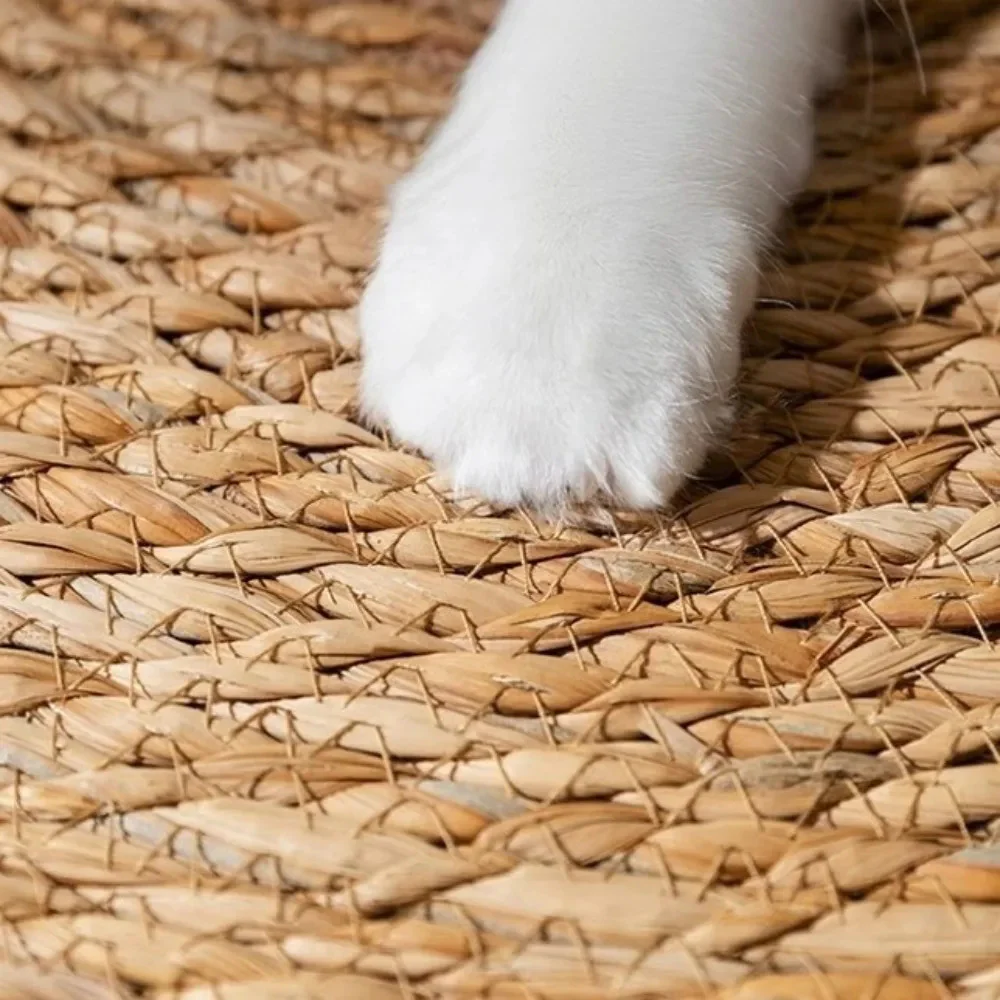 The Pawnder Mat - Image 3